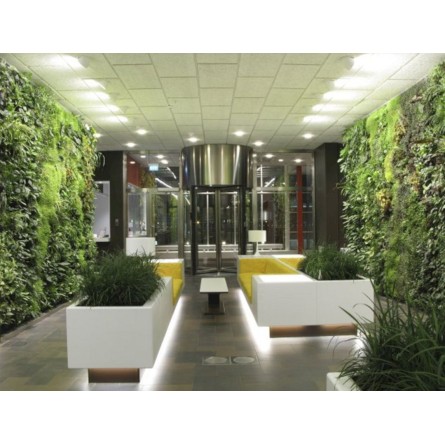 Natural Indoor Vertical Garden (550 Rs -900 Rs) (Rates / Sqft)